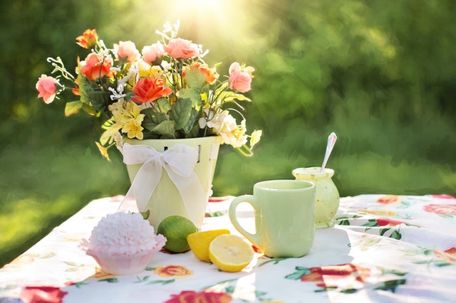 summer-still-life-garden-outdoors-flowers-in-pot